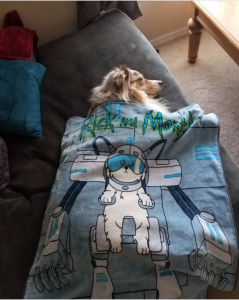 The Daily Crate | Looter Love: Rick and Morty Pet Blanket