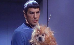 Friday Five: Pets In the 'Star Trek' Universe!