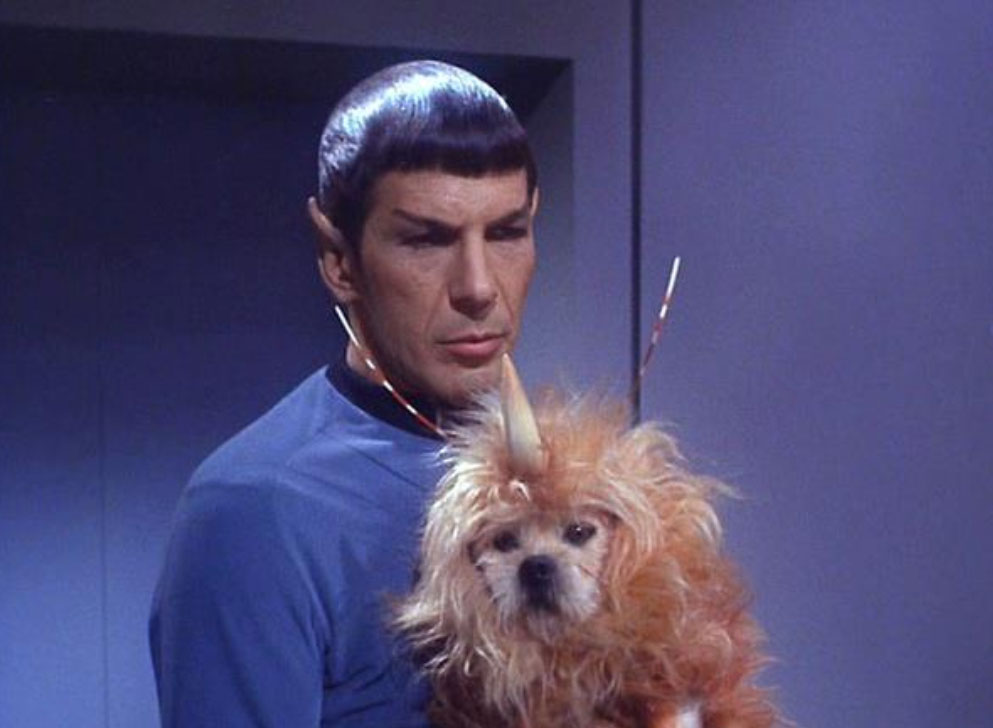 Friday Five: Pets In the ‘Star Trek’ Universe!