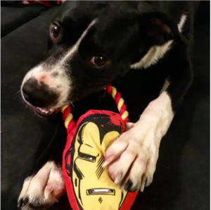 The Daily Crate | Looter Love: Iron Man Plush Tug Toy