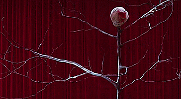 The Daily Crate | Friday Five: All New 'Twin Peaks' Memes to Obsess Over! [SPOILERS]