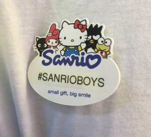 Sanrio Stores  Small Gift, Big Smile