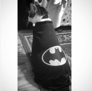 The Daily Crate | Looter Love: Loot Pets Batman Cape