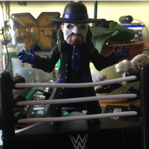 The Daily Crate | Looter Love: WWE Slam Crate Undertaker Figure