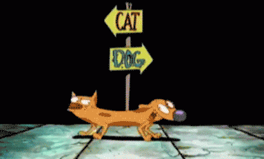 GIF Crate: A Handful of Times Where Catdog Understood Us Most!