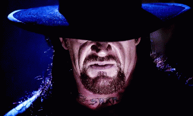Looter Love: WWE Slam Crate Undertaker Figure