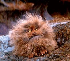 The Daily Crate | Looter Love: Loot for Her Dark Crystal Poncho! The Daily Crate | Looter Love: Loot for Her Dark Crystal Poncho!