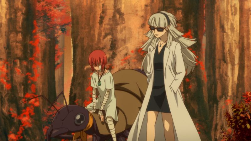 The Daily Crate | Loot Anime: Explore the Ancient Magus' World