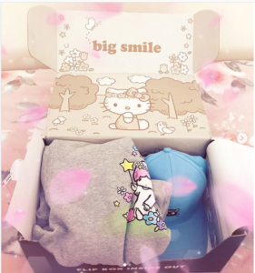 The Daily Crate | Looter Love: Spring Sanrio Naturally Cute Crate!