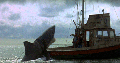 The Daily Crate | GIF Crate: Gather Your Jaws GIFs And Get A Bigger Boat!