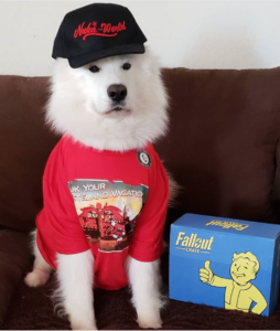 The Daily Crate | Looter Love: Fallout Crate Nuka-World Hat!