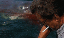 Video Vault: The Inside Story of Jaws: A Documentary