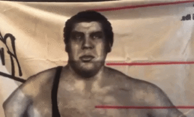 Looter Love: WWE Andre the Giant Fleece Blanket!