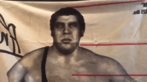 Looter Love: WWE Andre the Giant Fleece Blanket!