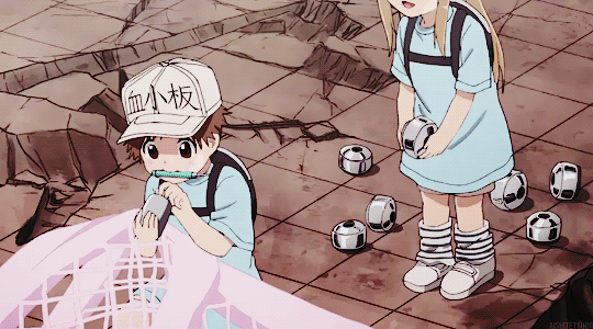The Daily Crate | Loot Anime: Platelets, the Most Kawaii Cells at Work