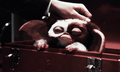 Video Vault: 6 Bizarre Implications Of The Gremlins Films From Cracked!