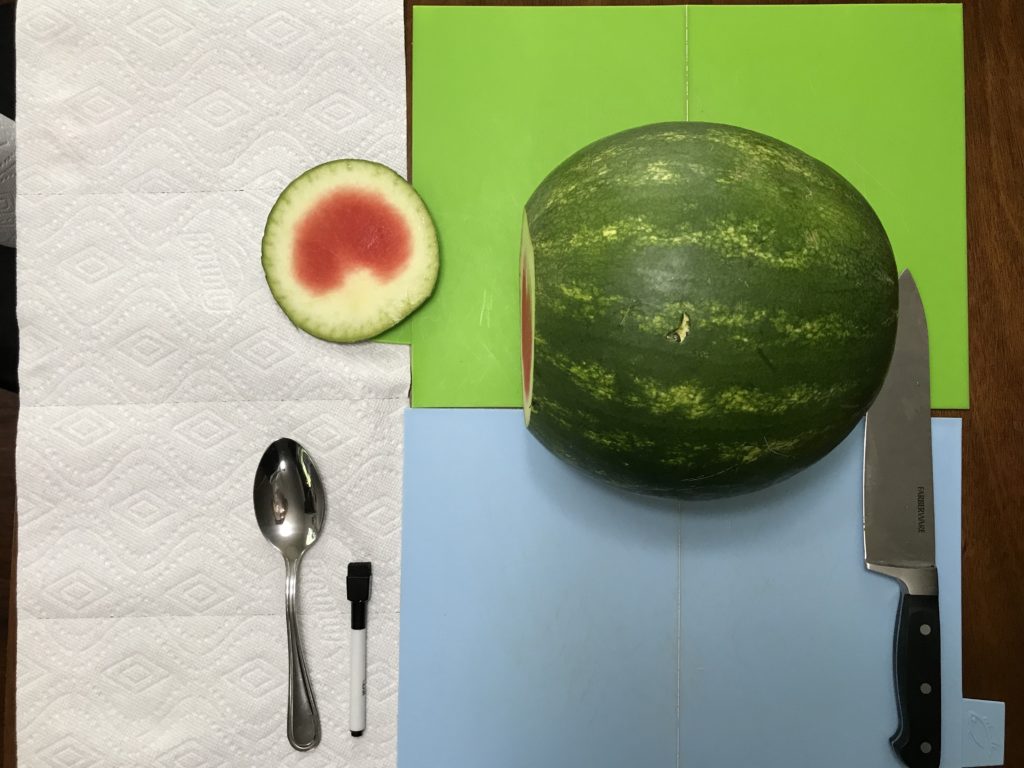 The Daily Crate | Looter Recipe: Make This DIY Jaws Watermelon!