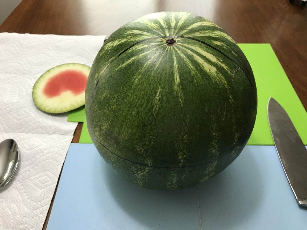 The Daily Crate | Looter Recipe: Make This DIY Jaws Watermelon!