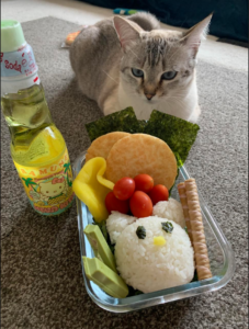 RECIPE: The Art of Bento Boxes: Hello Kitty Edition