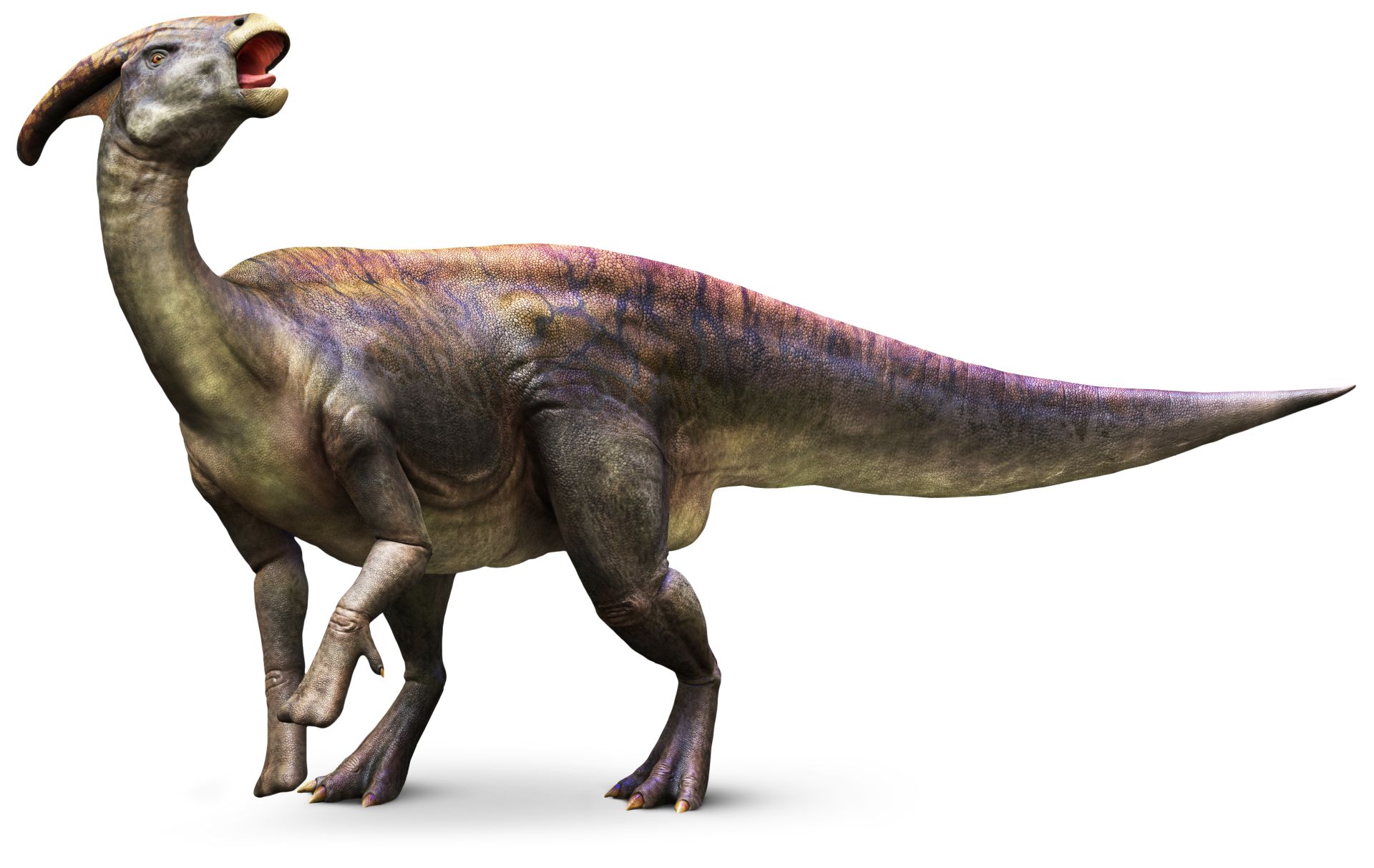 The Daily Crate | QUIZ: Can You Name These Dinosaurs That Appear In Jurassic World?