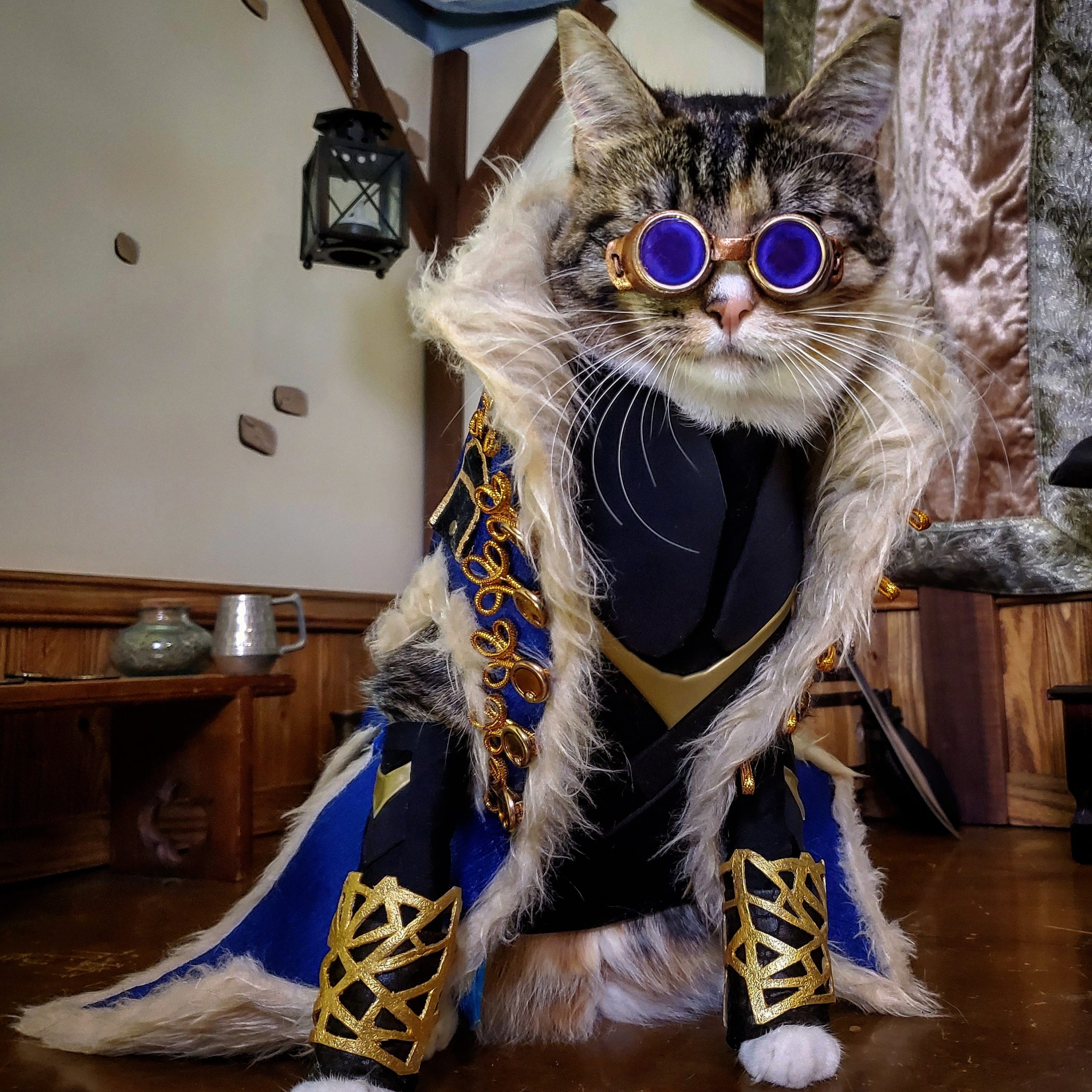 Exclusive Q&A: Fawkes, Pike and Ruby the cosplay pets!