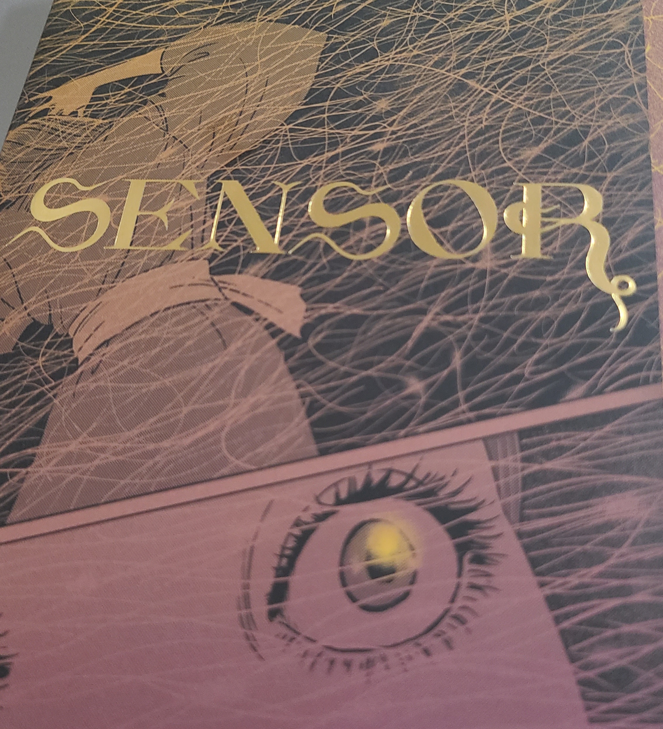 The Daily Crate | A Quick Glance at "Sensor" from Junji Ito