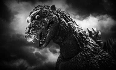 5 Facts You Didn't Know About Godzilla