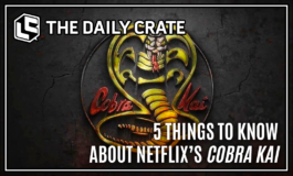 5 Things to Know About Netflix's Cobra Kai