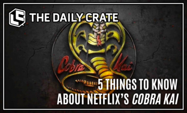 5 Things to Know About Netflix's Cobra Kai
