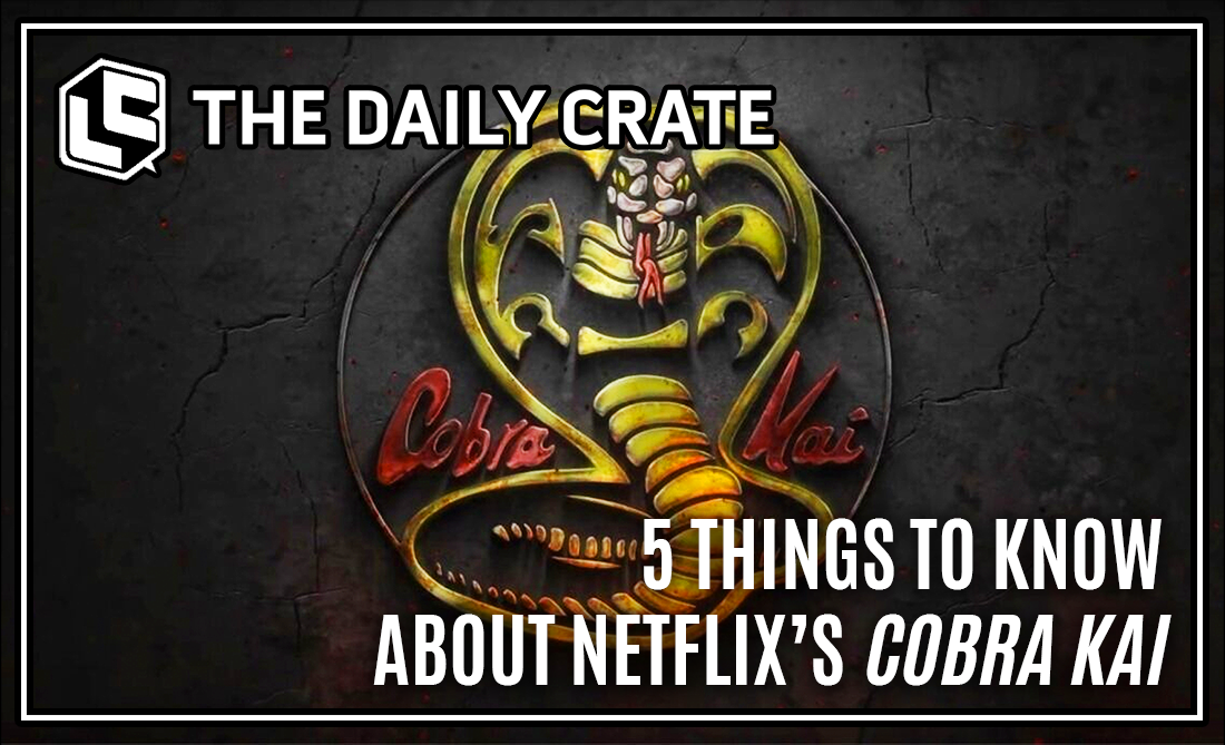 The Daily Crate | 5 Things to Know About Netflix's Cobra Kai